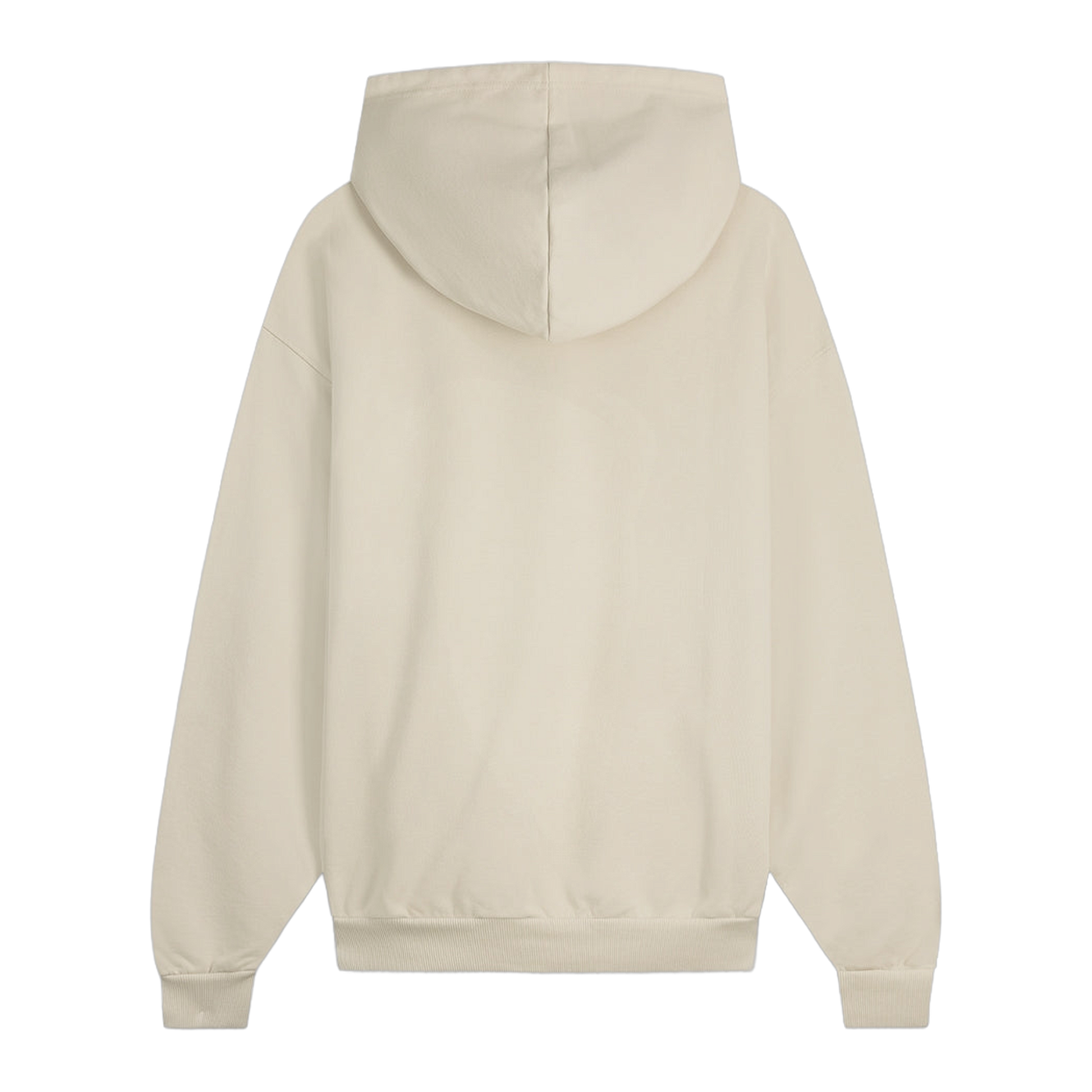 Hoodie Boxy Embroidered Peyote