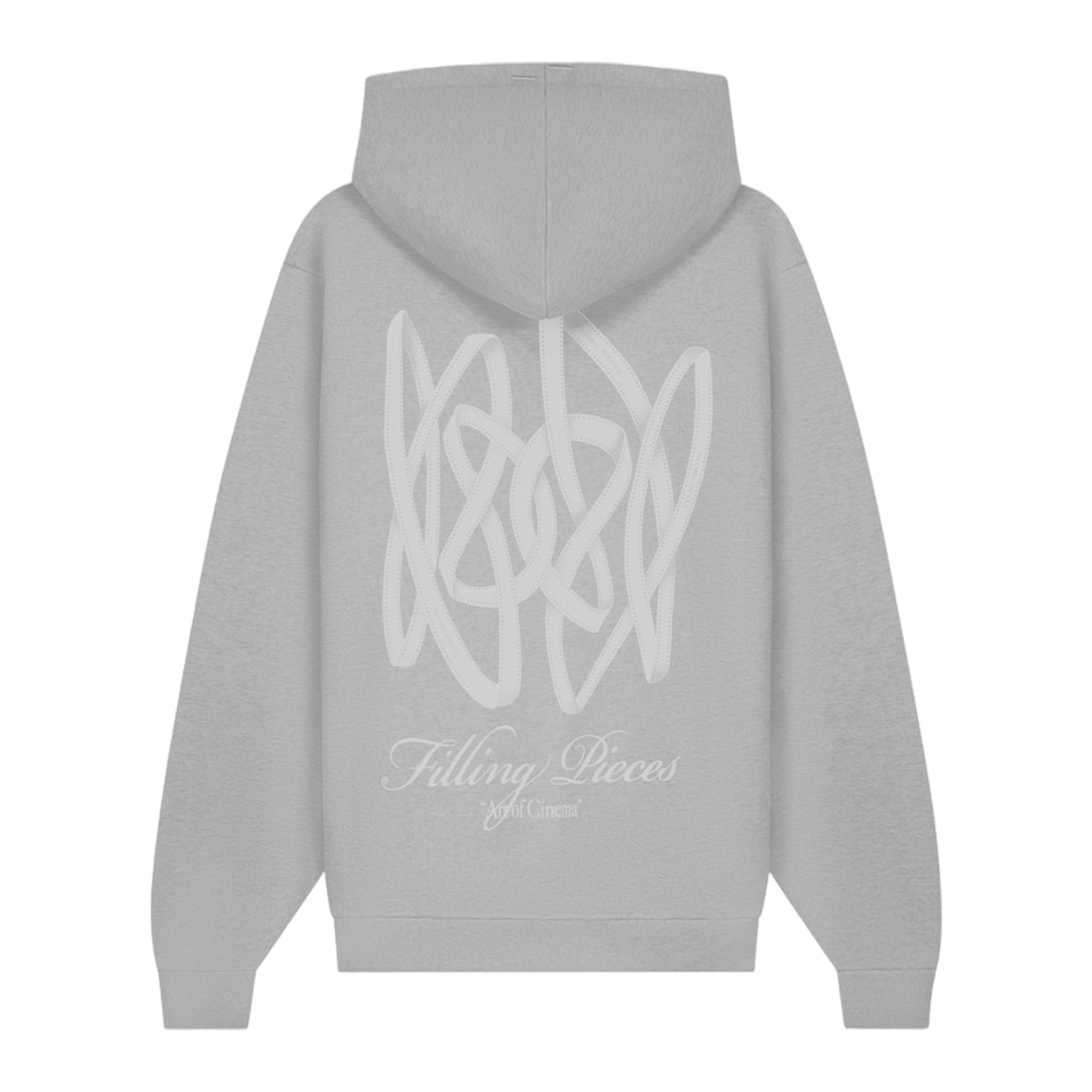 Hoodie Boxy Film Strip Antarctica