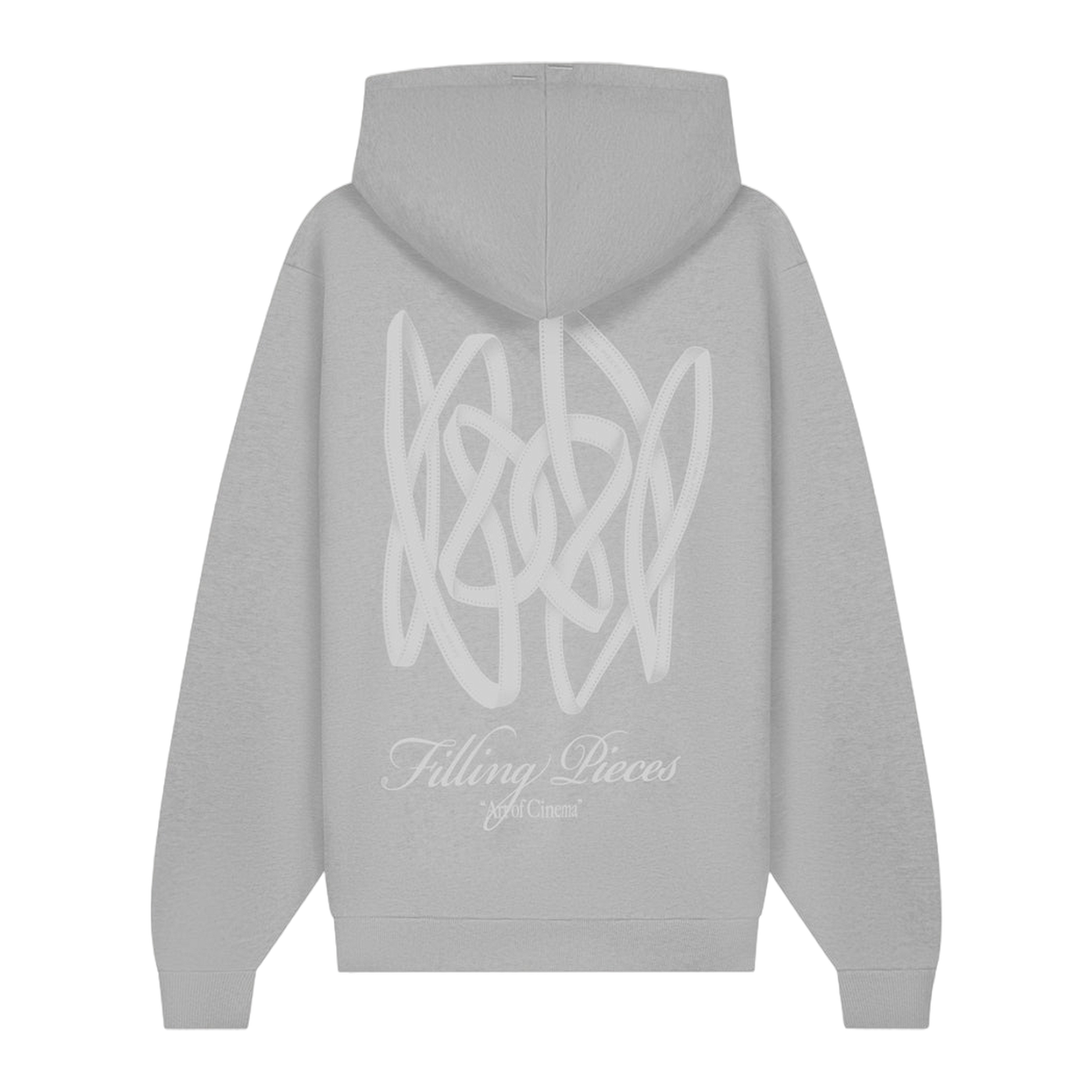 Hoodie Boxy Film Strip Antarctica