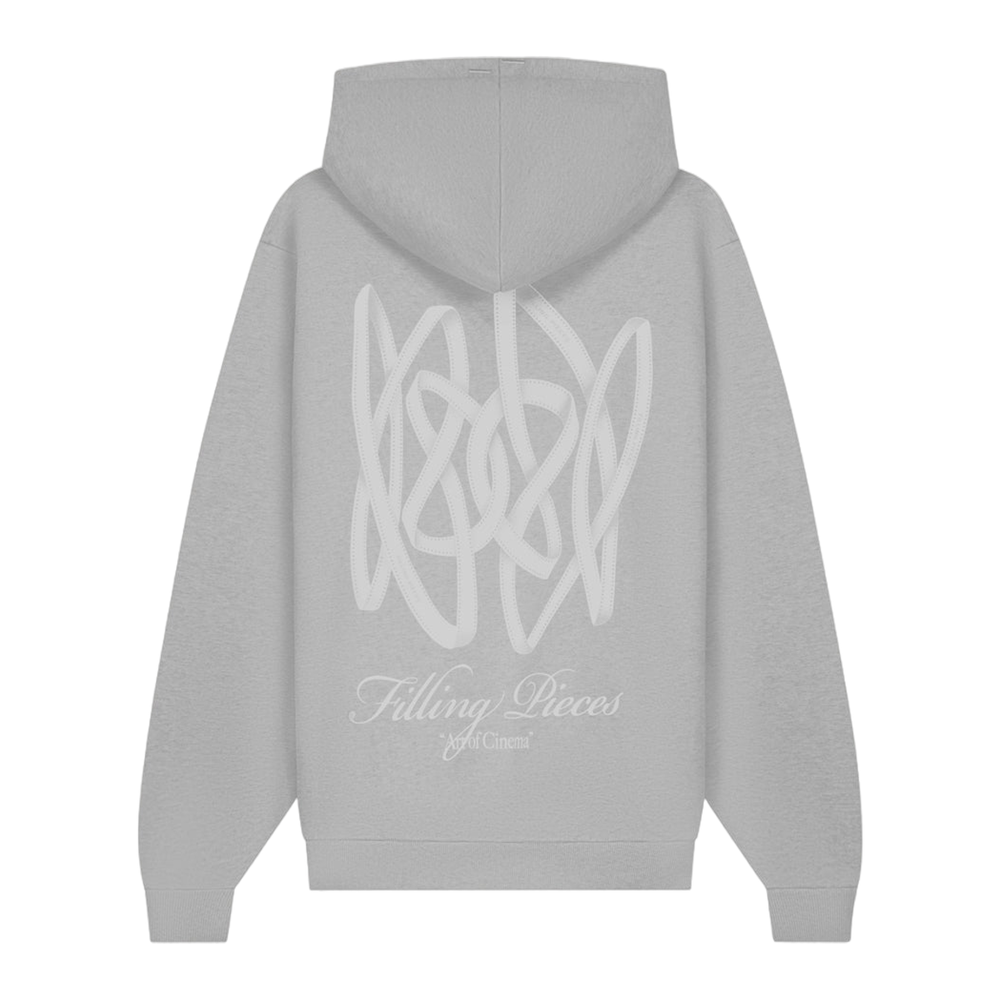 Hoodie Boxy Film Strip Antarctica