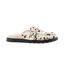 Brown Cow Mule