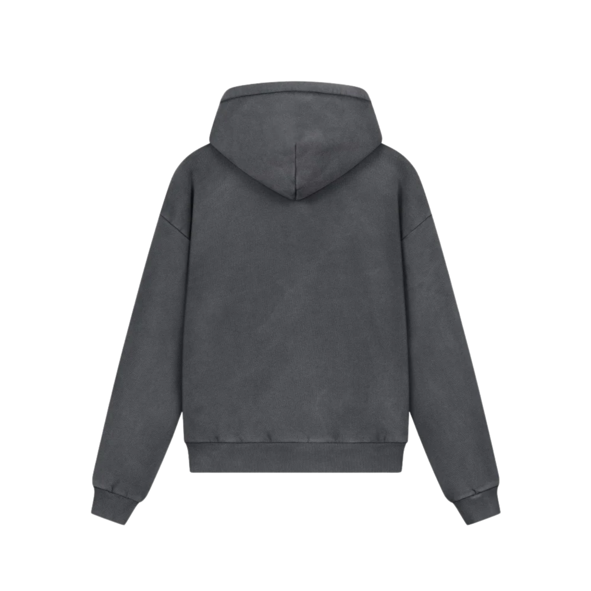 PESO ZODIAC ZIP HOODIE