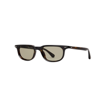 Novis Tortoise