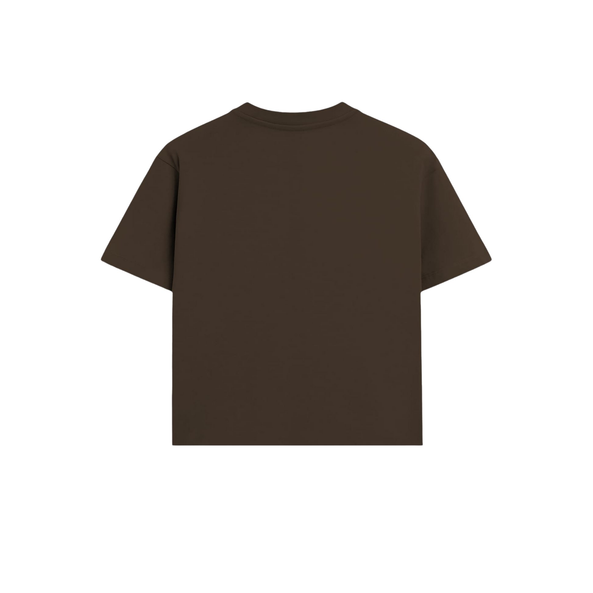 BLOCKS T-SHIRT BROWN
