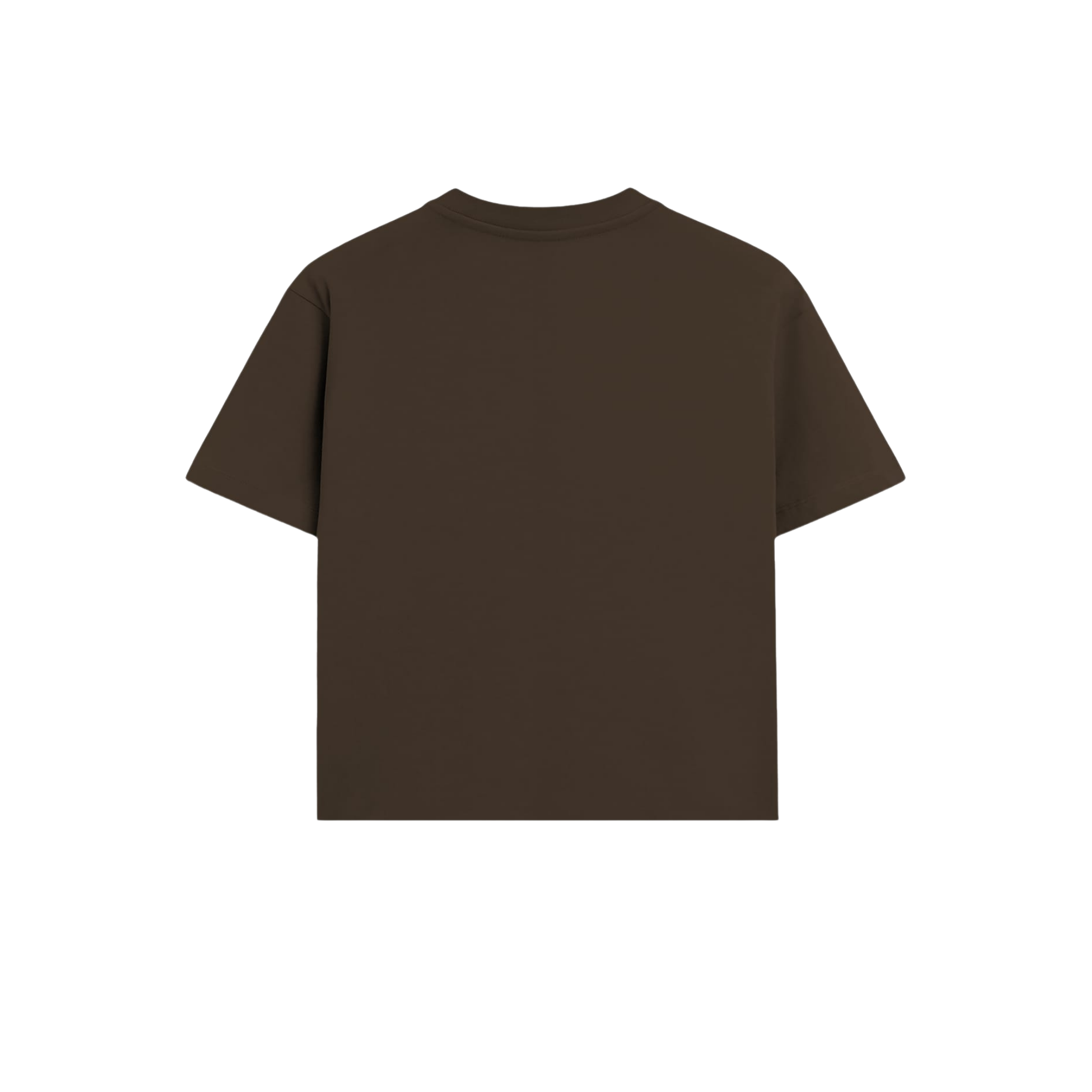 BLOCKS T-SHIRT BROWN