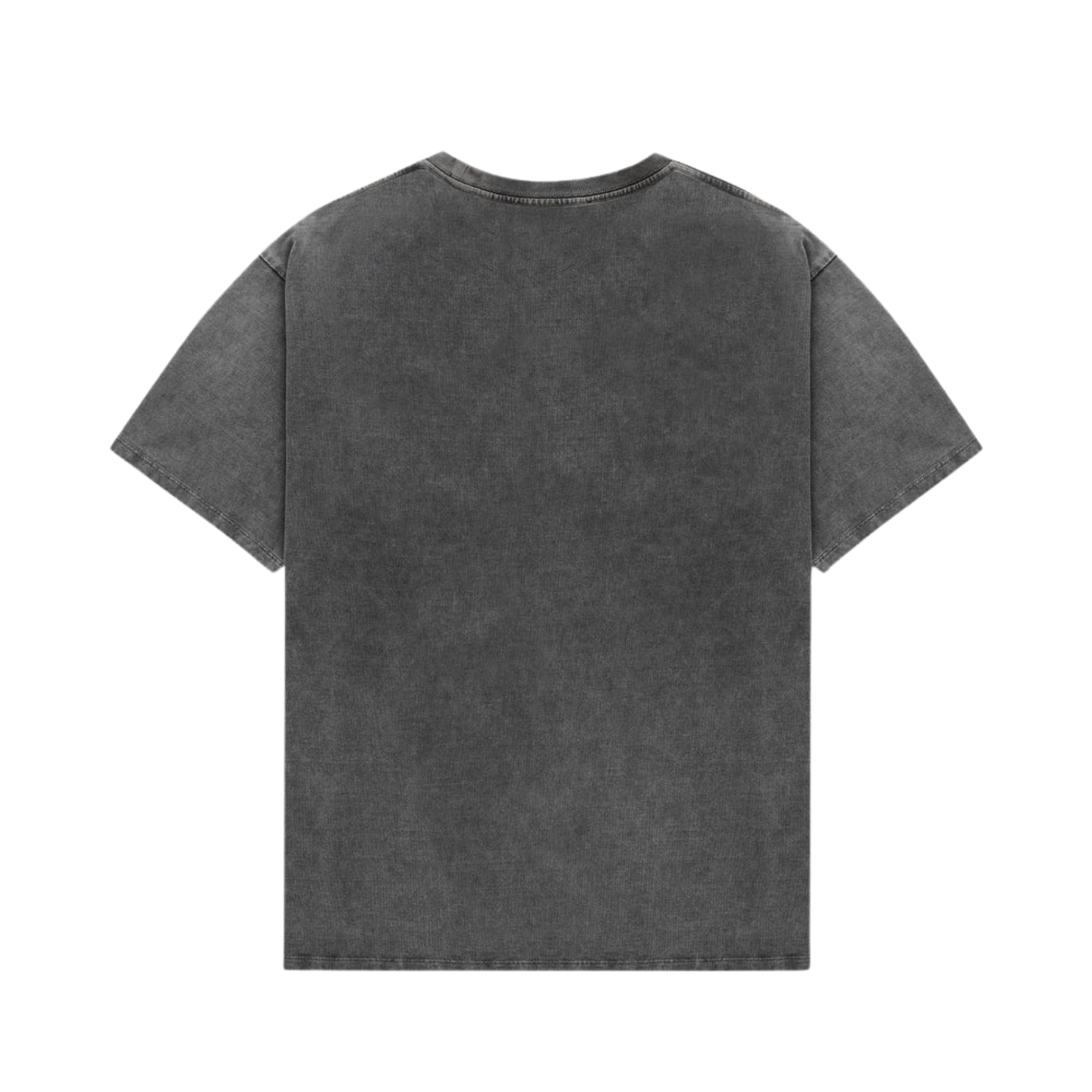 Pin Up II Washed Grey T-Shirt