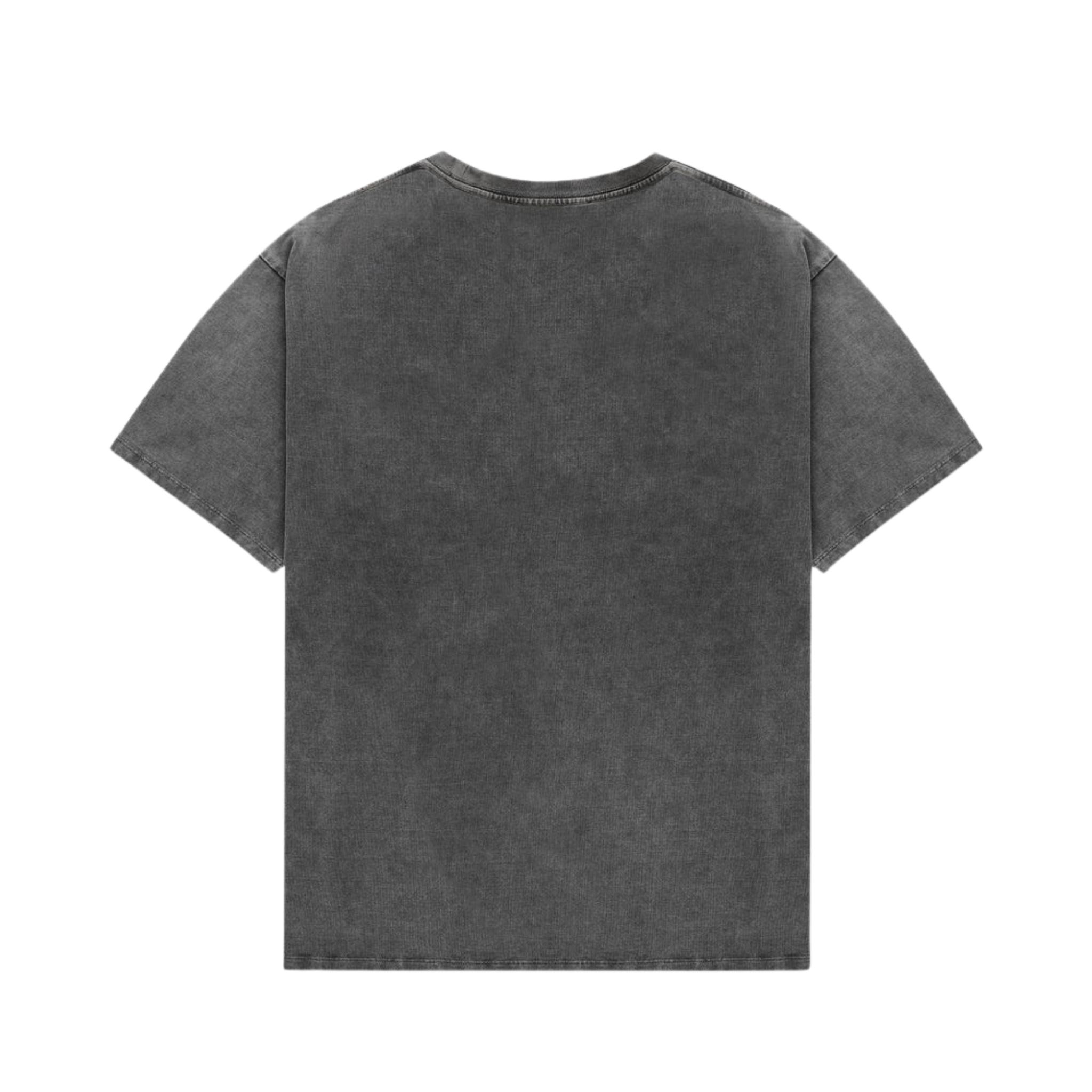 Pin Up II Washed Grey T-Shirt