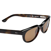 Lyra Dusty Tortoise