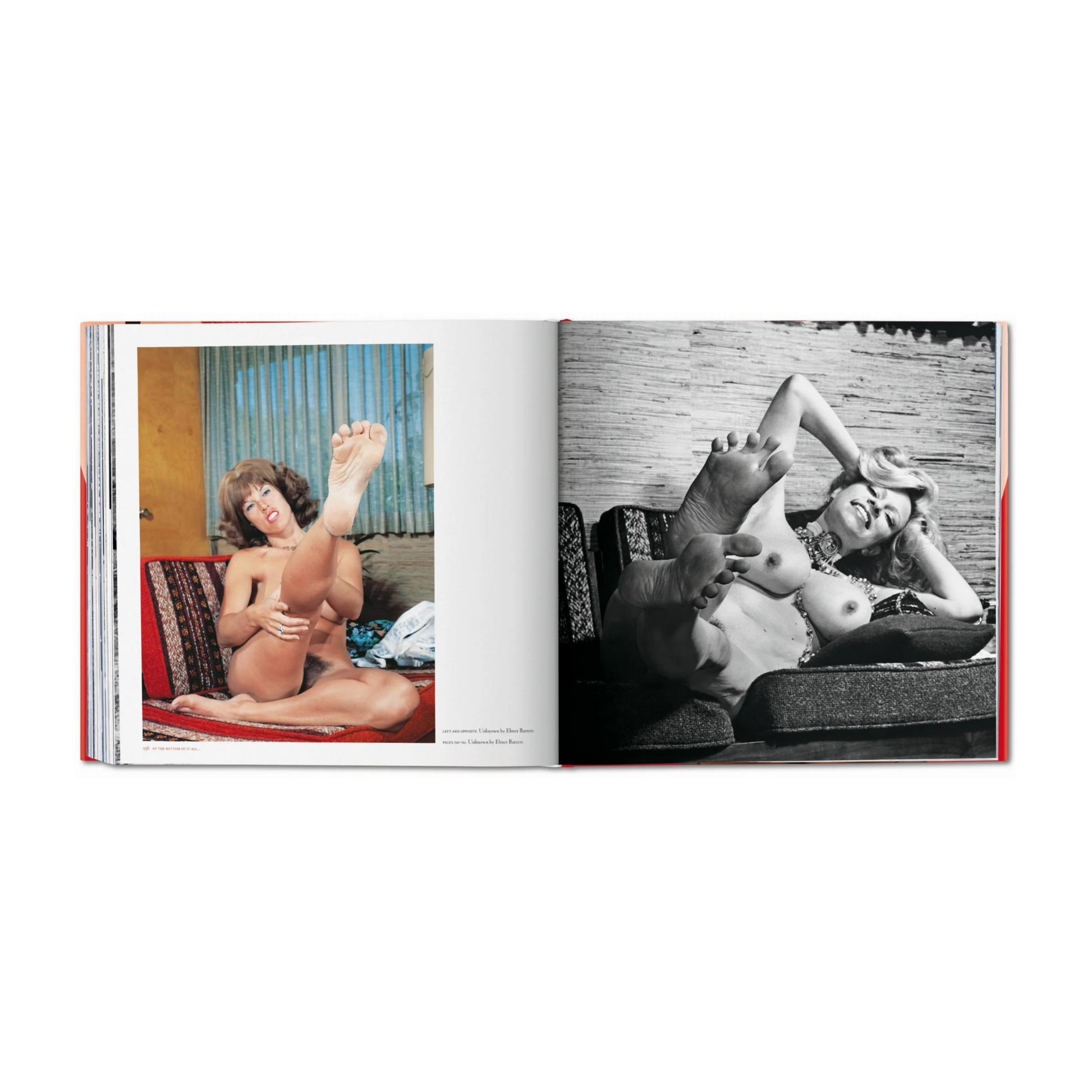 The Big Book of Legs
