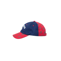 Mismatched Navy Dad Cap