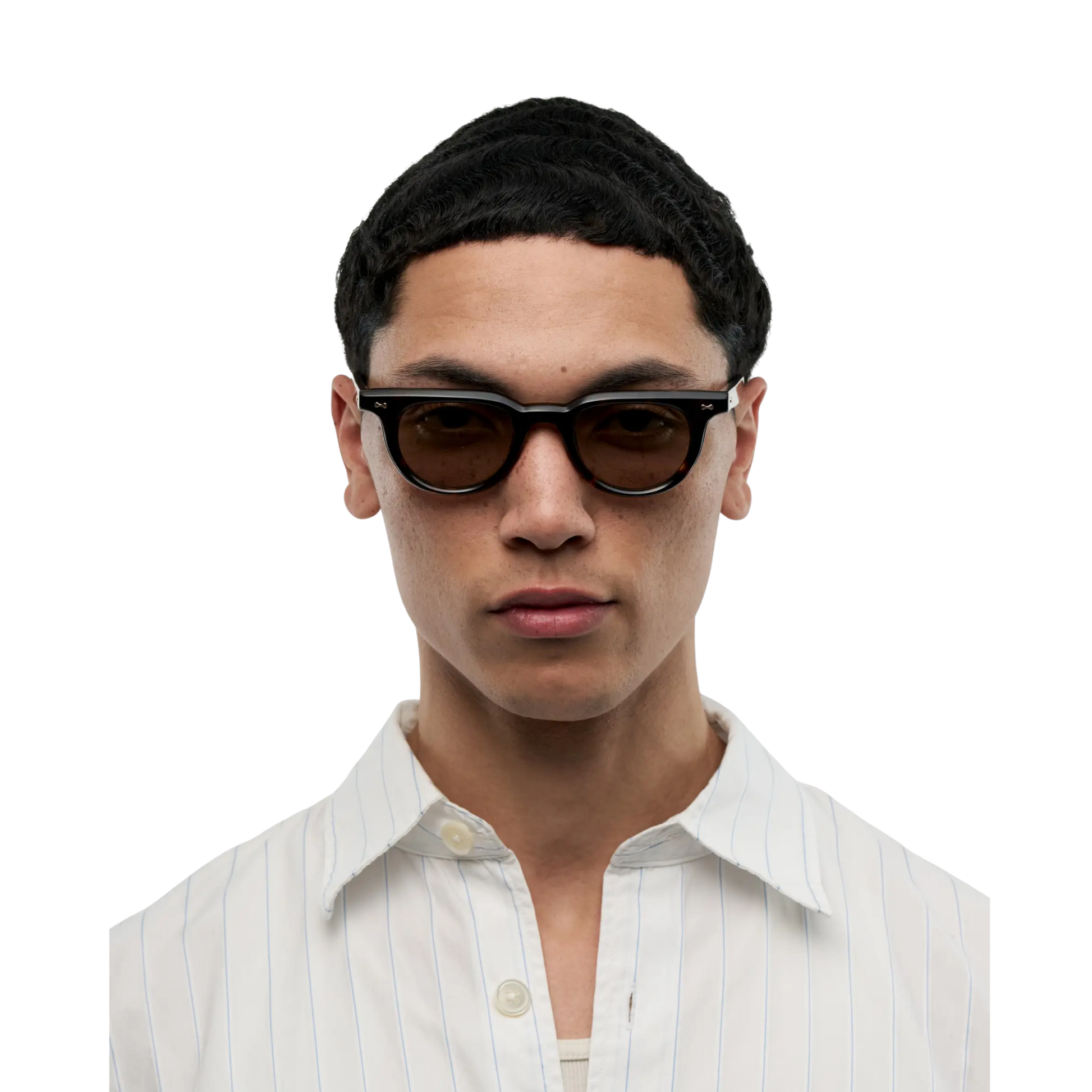 Ciro Deep Tortoise