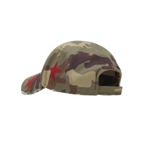 Mass Archetype Camo Cap