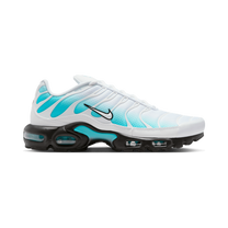 Nike Air Max Plus Dusty Cactus