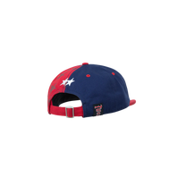 Mismatched Navy Dad Cap