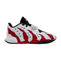 Nike LeBron 21 Prime 96