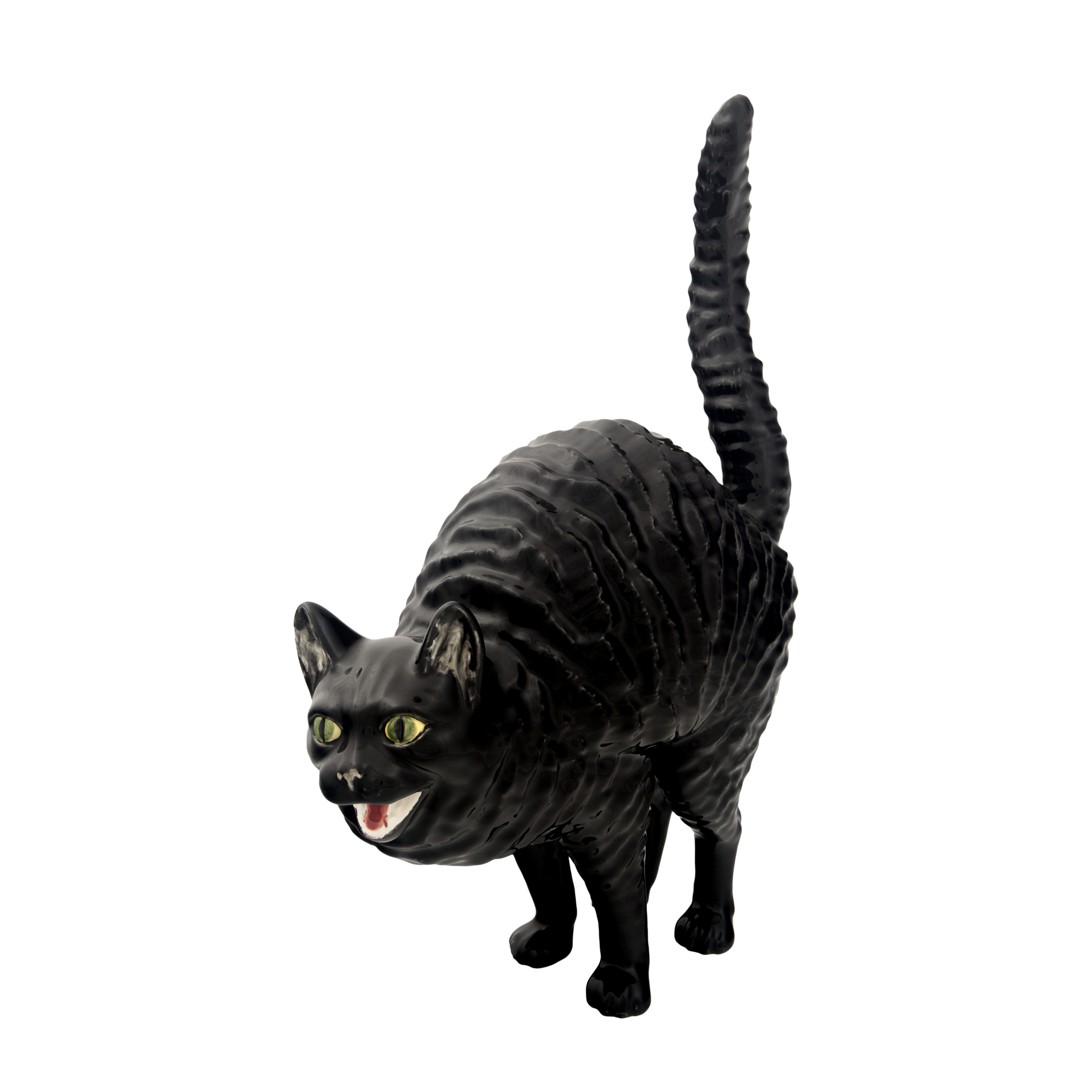 Gato Assanhado