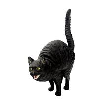Gato Assanhado