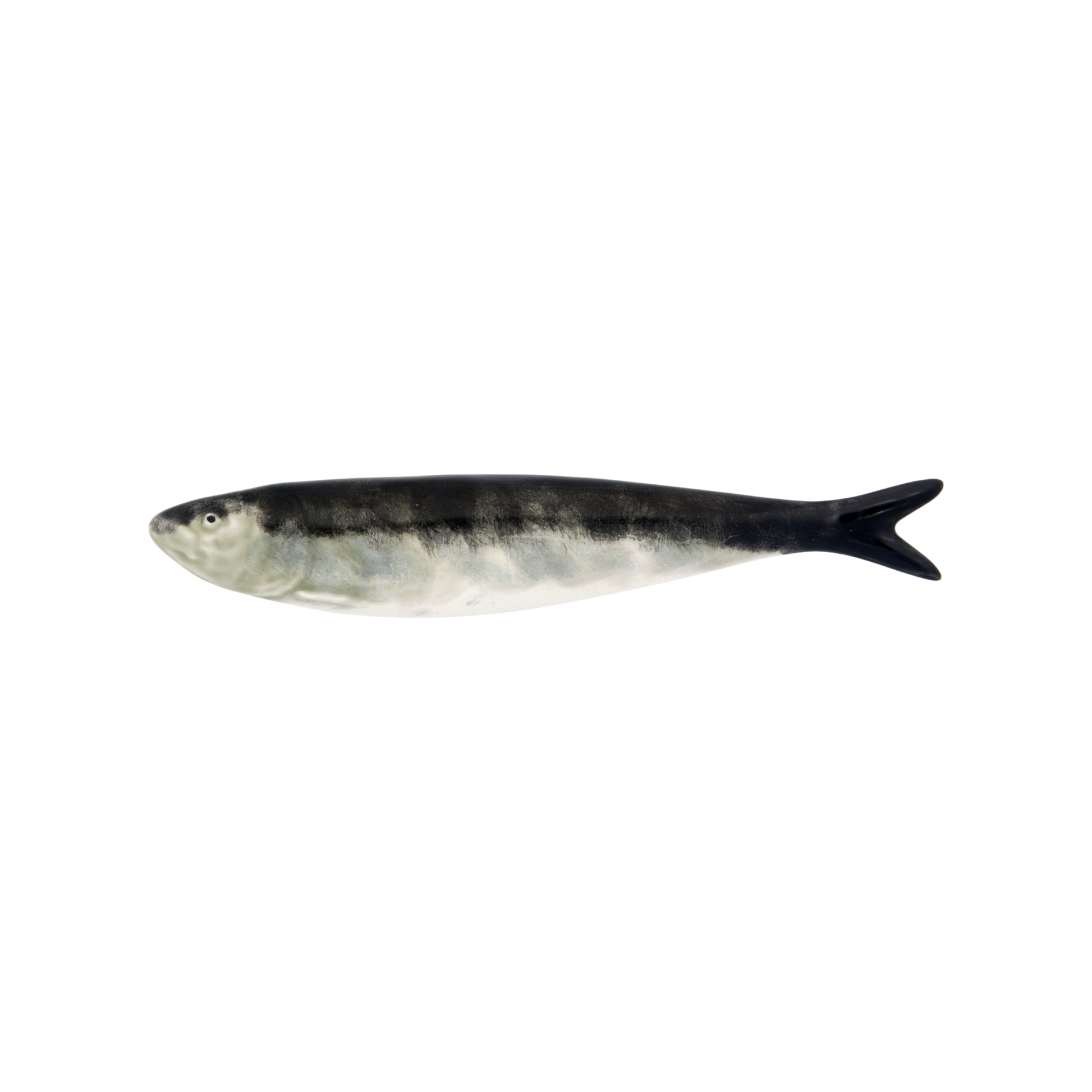 Sardinha Natural