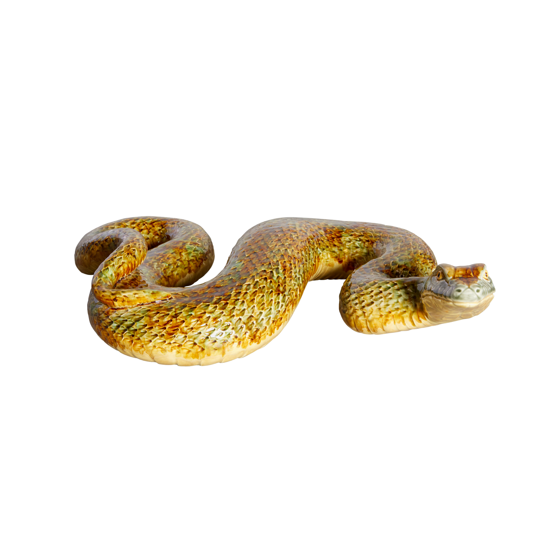 Cobra Gigante