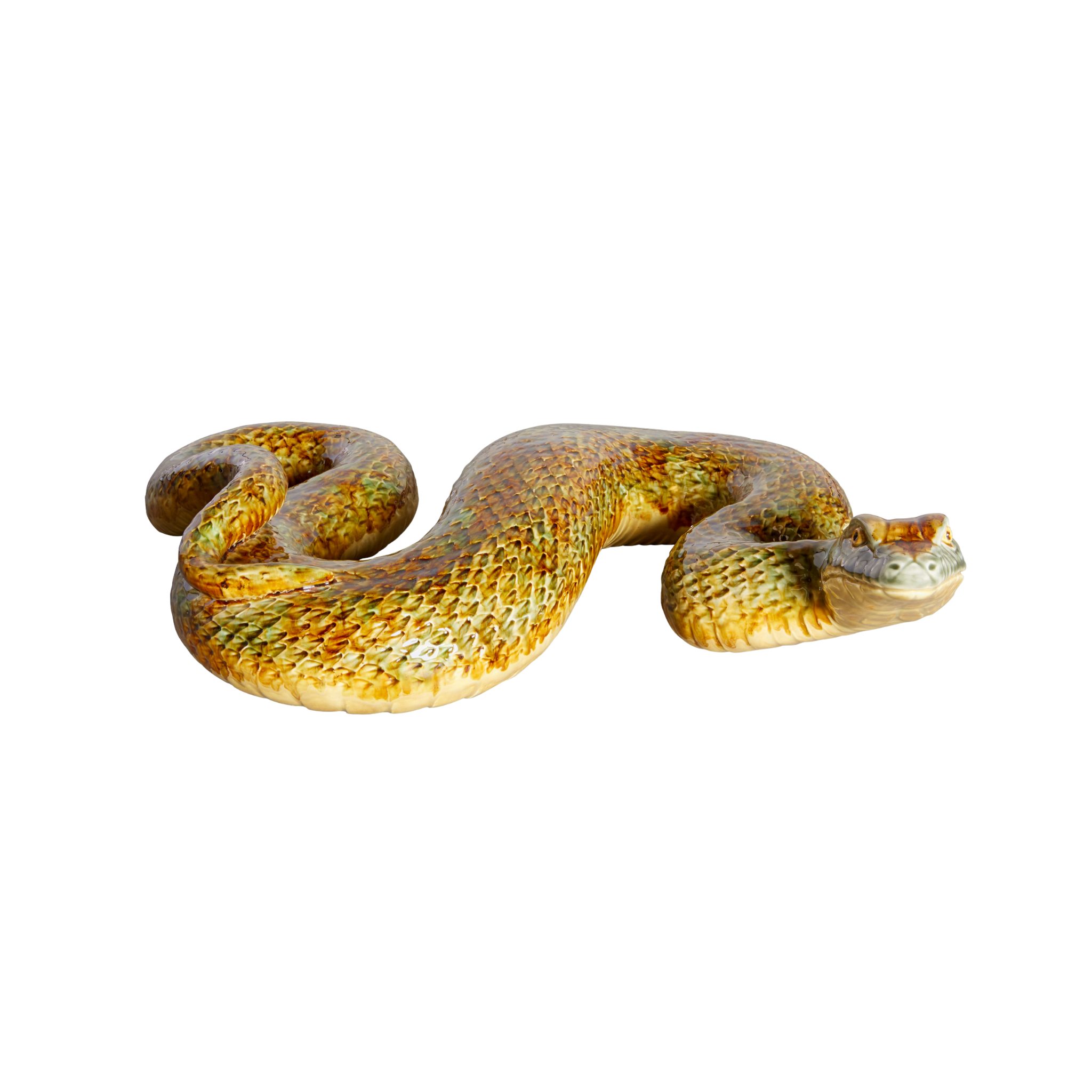 Cobra Gigante