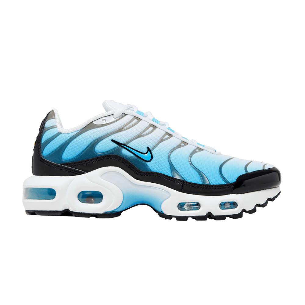 Air Max Plus Ice (GS)