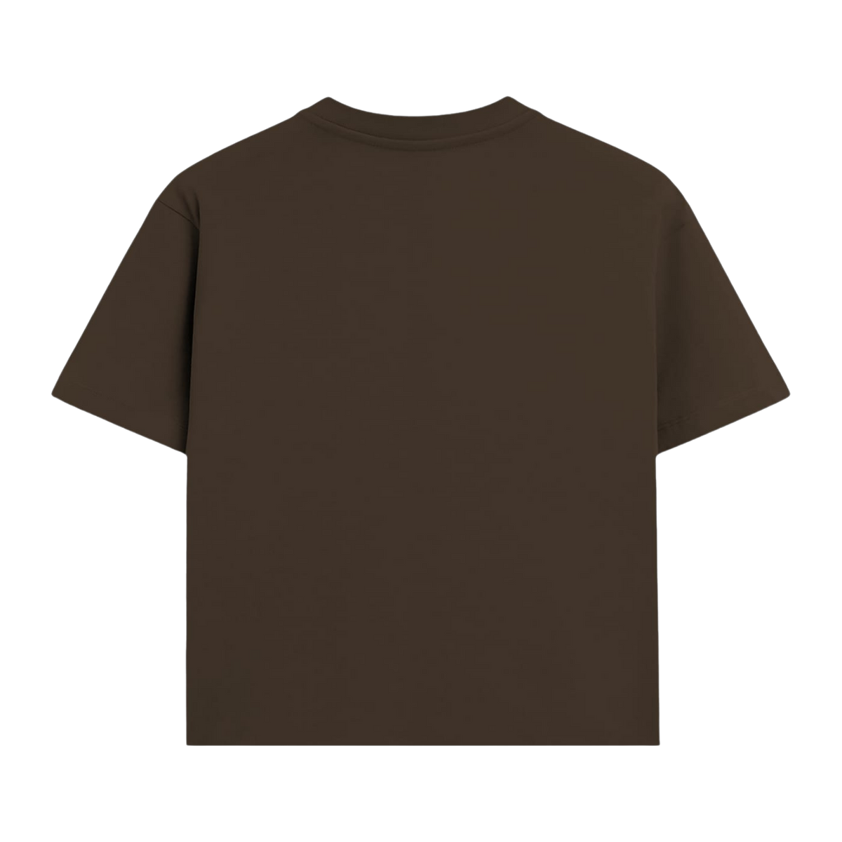 BLOCKS T-SHIRT BROWN