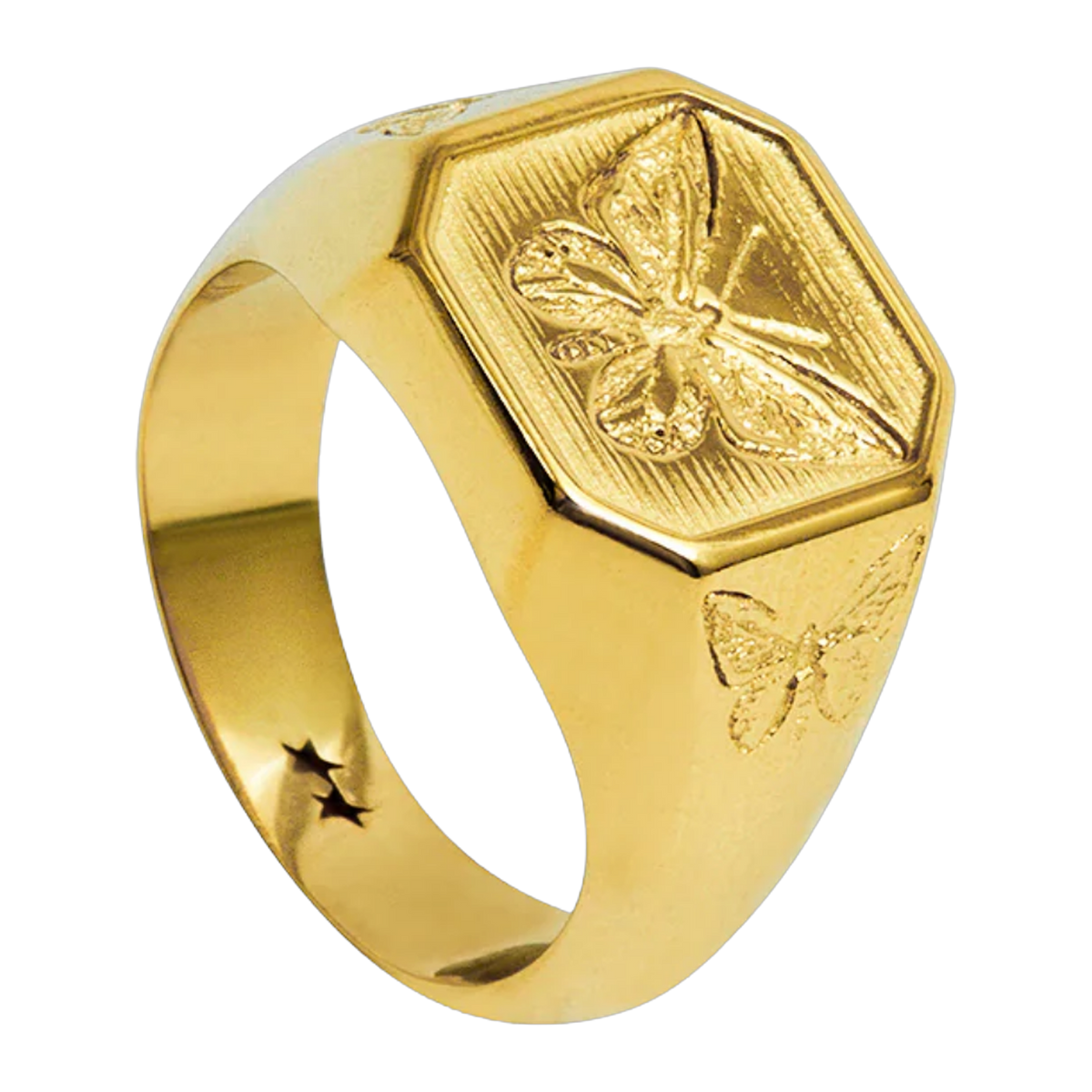 Butterfly Eﬀect Ring