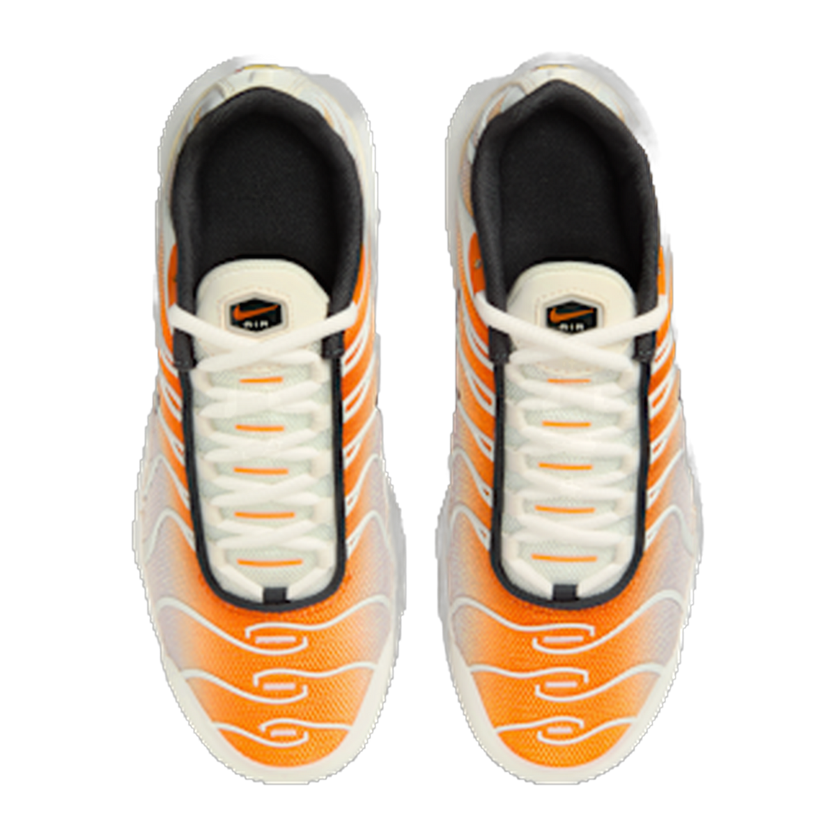 Nike Air Max Plus Orange Peel Summit White Anthracite Vast Grey (GS) — kolab