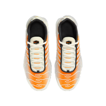 Nike Air Max Plus Orange Peel Summit White Anthracite Vast Grey (GS) — kolab