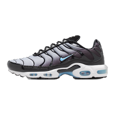 Nike Air Max Plus Black Light Smoke Grey — kolab