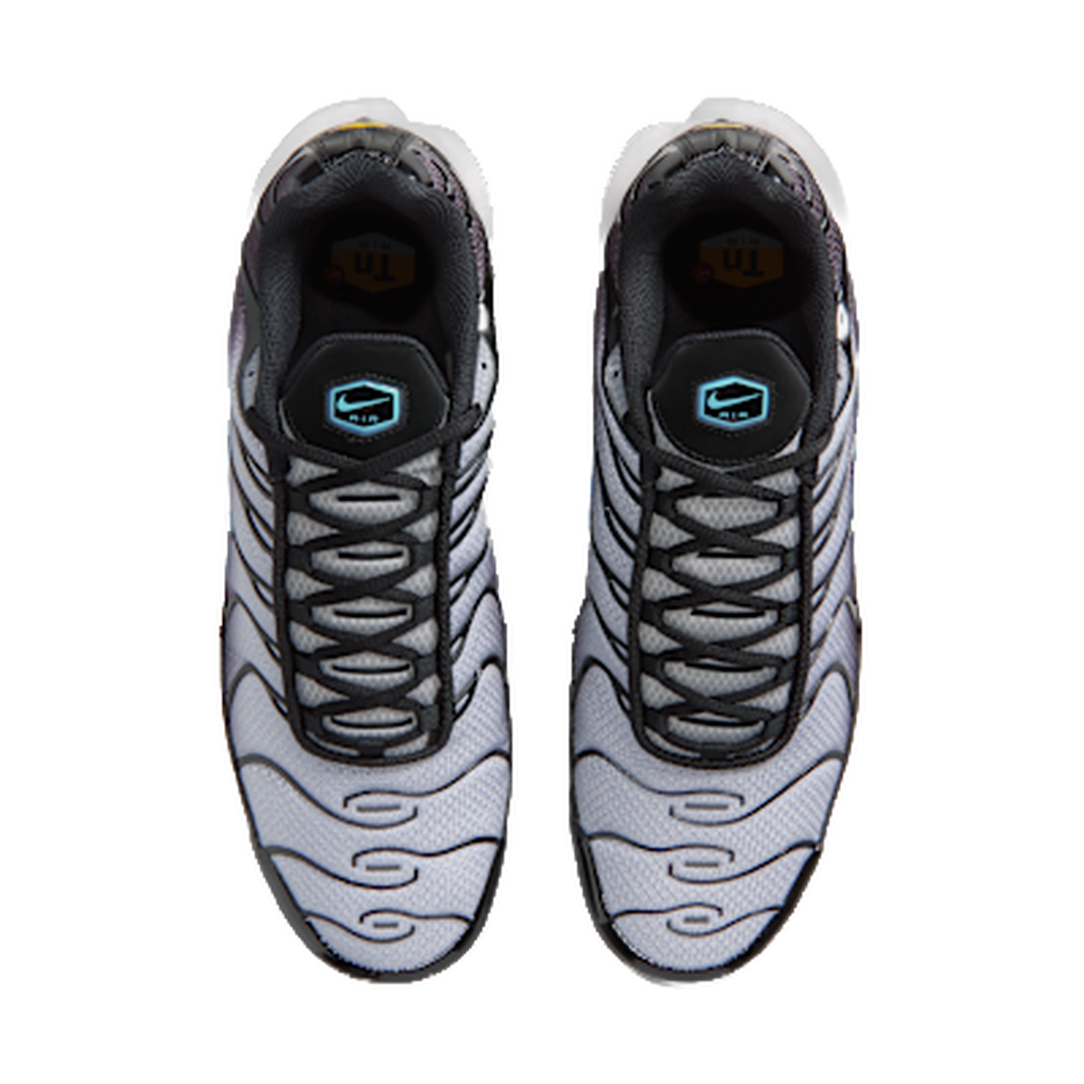 Nike Air Max Plus Black Light Smoke Grey — kolab