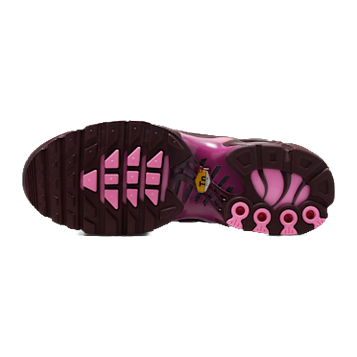 Nike Air Max Plus “Cactus Flower” — kolab