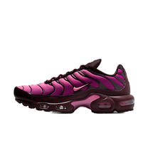 Nike Air Max Plus “Cactus Flower” — kolab