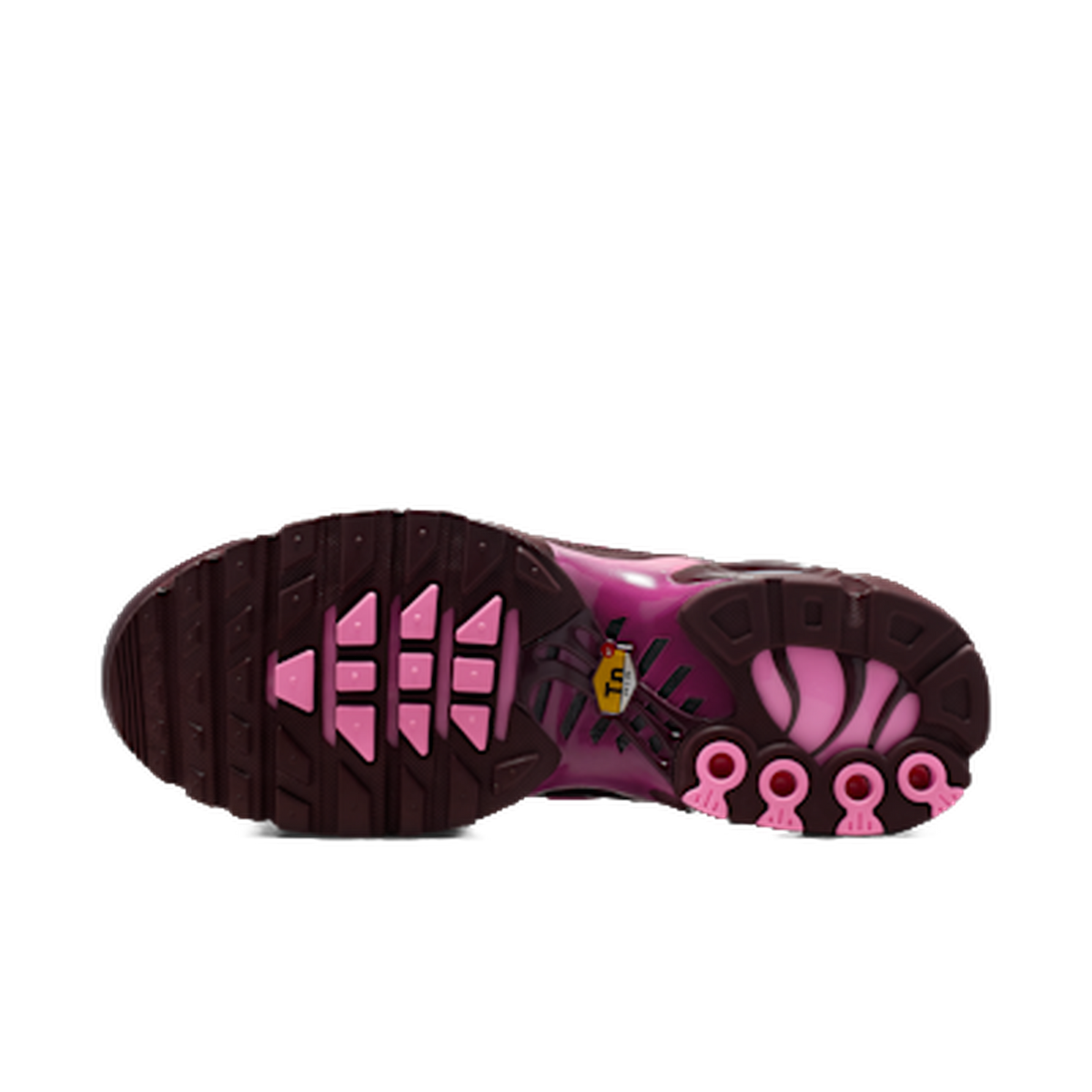 Nike Air Max Plus “Cactus Flower” — kolab