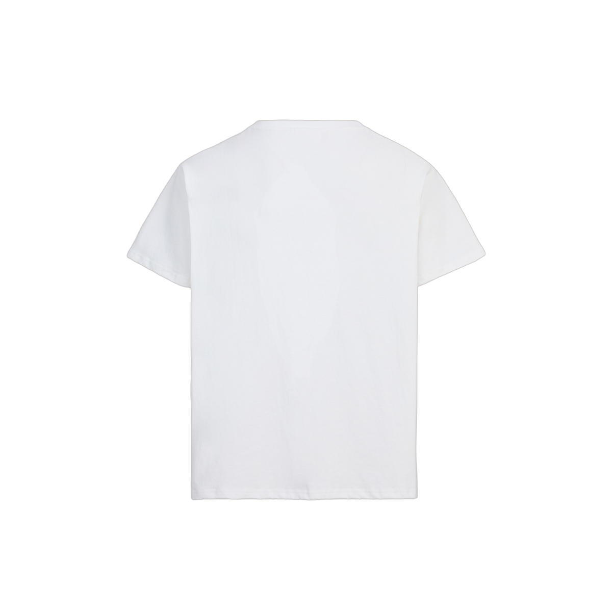 Embroidered Paisley Tee Off White, back