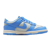 Nike Dunk Low Light Silver Sail Light Photo Blue (GS) — kolab