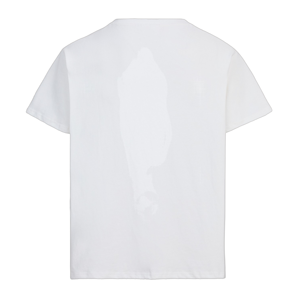 Floral Horse Tee Off White, back