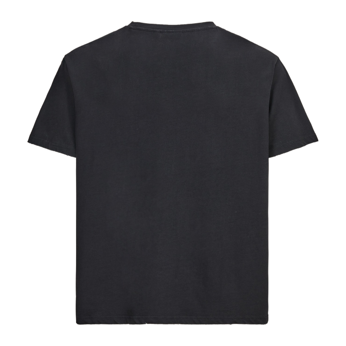 Fruit Co Tee, back