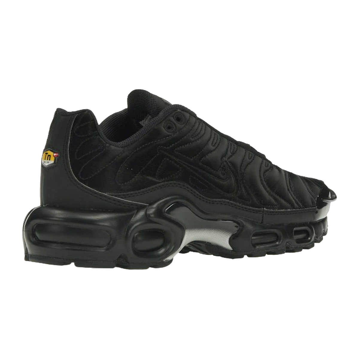 Nike Air Max Plus Black Anthracite Sail — kolab
