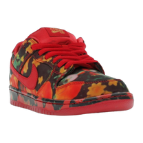 Nike SB Dunk Low The Wizard of Oz Poppy Field — kolab