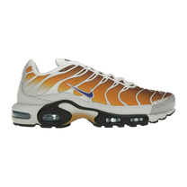 Nike Air Max Plus One Block Down Chutney — kolab