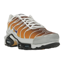 Nike Air Max Plus One Block Down Chutney — kolab