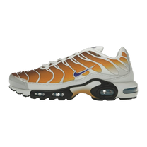 Nike Air Max Plus One Block Down Chutney — kolab