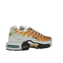 Nike Air Max Plus One Block Down Chutney — kolab