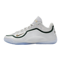 Nike LeBron 23 From This Point Forward — kolab