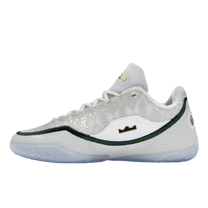 Nike LeBron 23 From This Point Forward — kolab
