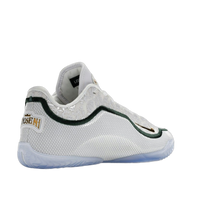 Nike LeBron 23 From This Point Forward — kolab