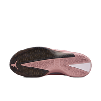 Jordan 40 Dusty Rose — kolab