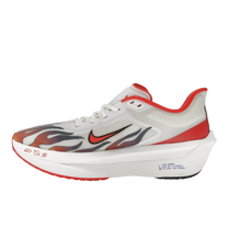 Nike Zoom Fly 6 Ekiden Pack — kolab