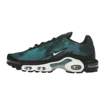 Nike Air Max Plus Dot Pattern Black Dusty Cactus — kolab